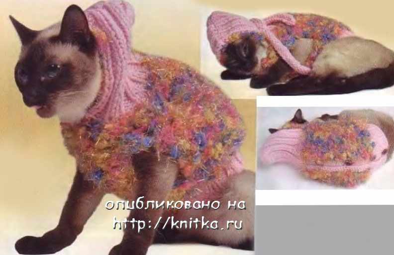 Курточка с капюшоном для кошки Курточка с капюшоном для кошки
