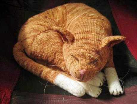 спящий рыжий кот спицами