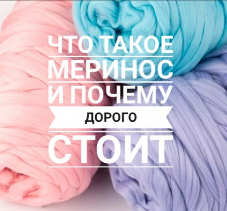Чем хороша шерсть меринос, почему она такая дорогая Чем хороша шерсть меринос, почему она такая дорогая