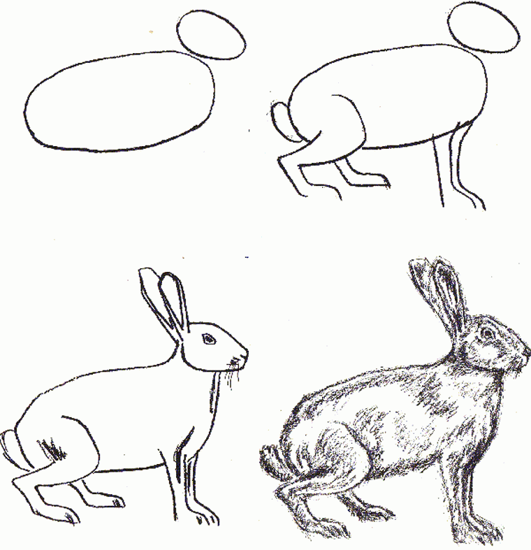 как рисовать зайца